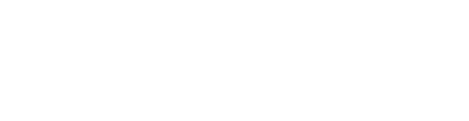 Pulsic