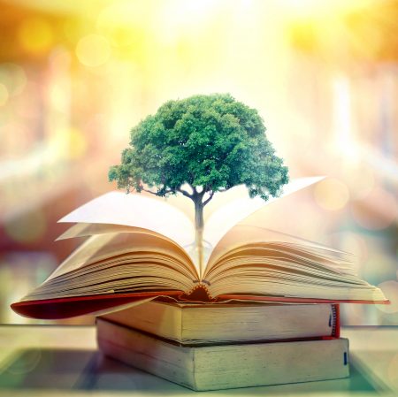 Tree growing out of a text book